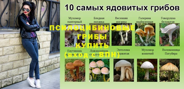 ALPHA PVP Медногорск