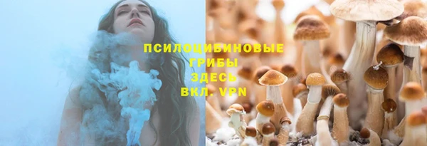 метадон Медвежьегорск