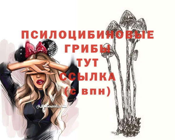 ALPHA PVP Медногорск