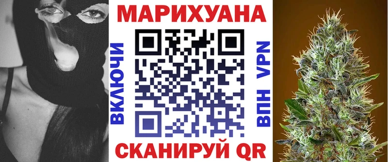 где купить наркоту  Завитинск  даркнет формула  Бошки Шишки планчик 